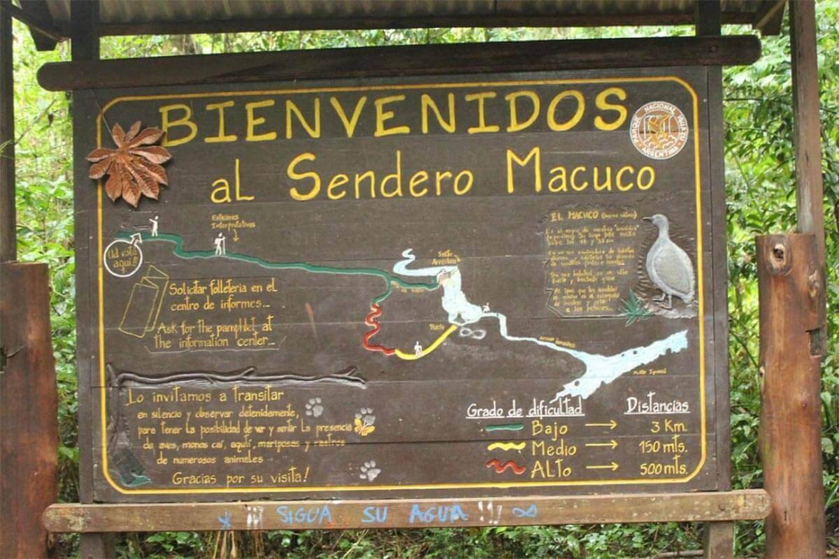 Sendero Macuco En El Parque Nacional Iguaz