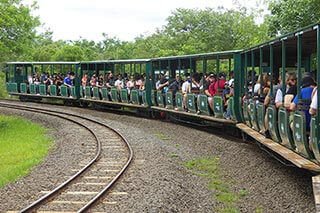 tren ecologico iguazu